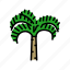 christmas, palm, tree, oil, leaf, plant 