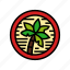 natural, palm, oil, tree, leaf, plant 