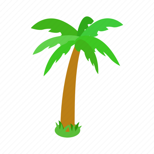 Beach, isometric, nature, palm, summer, tree, tropical icon - Download on Iconfinder