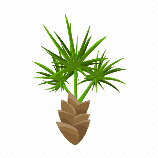 Eco, ecology, leaf, nature, palm, plant, tree icon - Download on Iconfinder