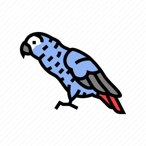 African, grey, parrot, bird, blue, animal icon - Download on Iconfinder