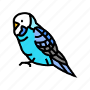 budgerigar, parakeet, parrot, bird, blue, animal