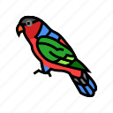 capped, lory, parrot, bird, blue, animal