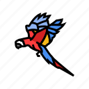 scarlet, macaw, flying, parrot, bird, blue