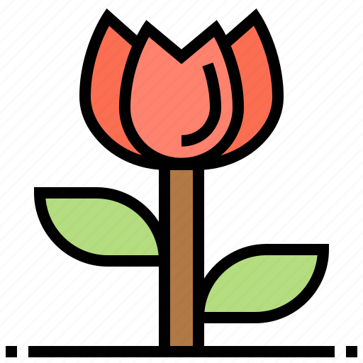 Decoration, floral, flower, garden, rose icon - Download on Iconfinder