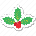 christmas, decorations, leaves, mistletoe, xmas