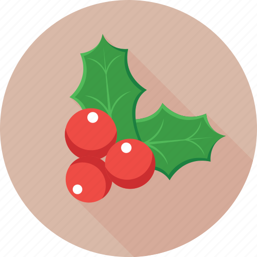 Christmas, mistletoe, ornaments, plant, xmas icon - Download on Iconfinder