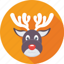 animal, deer, elk, reindeer, rudolf