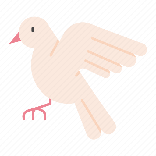 Dove, passover, holy week, easter, animal, peace, pigeon icon - Download on Iconfinder