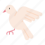 dove, passover, holy week, easter, animal, peace, pigeon, bird 