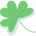 clover, shamrock, irish, celtic, plant
