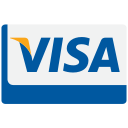 business, buy, card, cash, checkout, credit, donation, finance, financial, pay, payment, visa