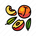 juicy, peach, cut, fruit, nectarine, orange