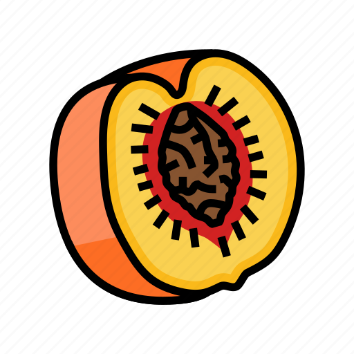 Ripe, peach, cut, pit, fruit, nectarine icon - Download on Iconfinder