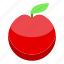 healthy, red, isometric 