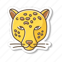 jaguar, leopard, cheetah, american panther