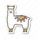 alpaca, woolly llama, camelid, ruminant animal