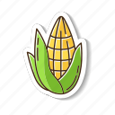 corncob pipe, sweetcorn, maize cereal, hispanic cultivation