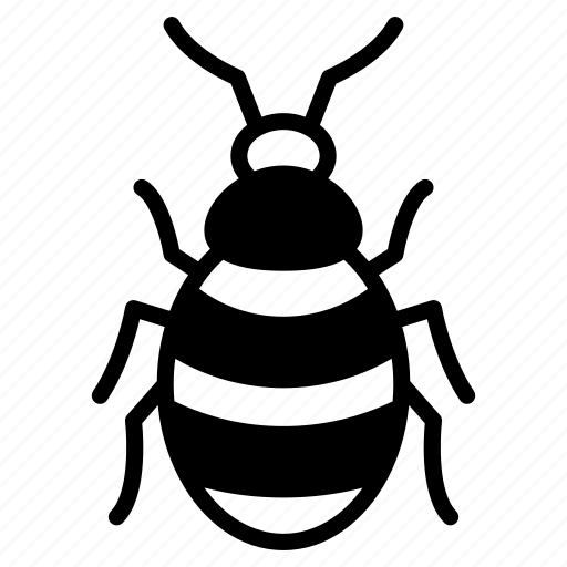 Bed, bug, wingless, blood, sucking, biting, parasite icon - Download on Iconfinder
