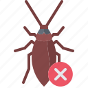 cockroach, cross, beetle, bug, insect, pest, control