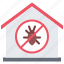 house, building, beetle, bug, insect, pest, control 