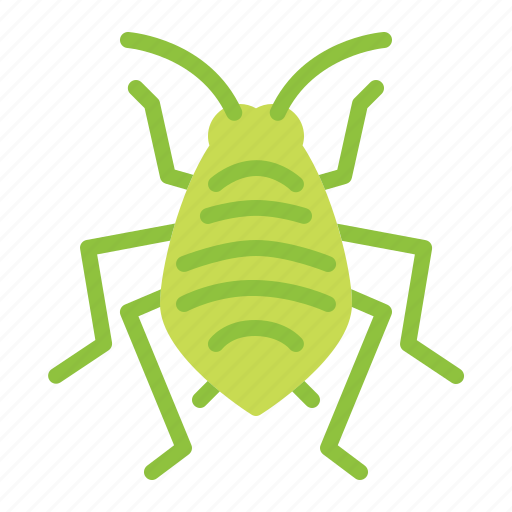 Bedbug, insect, aphid, pest, bug icon - Download on Iconfinder
