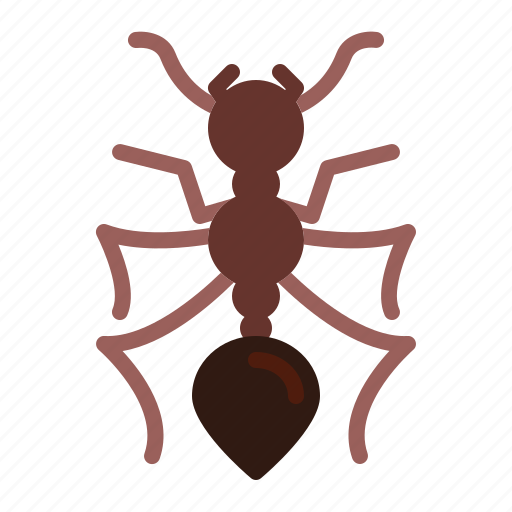 Ant, bug, insect icon - Download on Iconfinder on Iconfinder