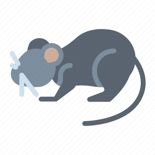 Rat, pest, mouse, animal icon - Download on Iconfinder