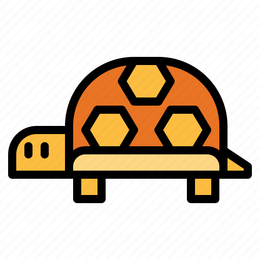 Animal, pet, turtle, zoo icon - Download on Iconfinder