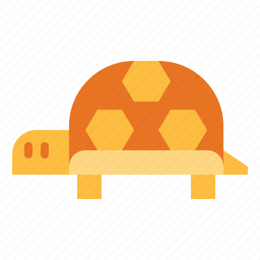 Animal, pet, turtle, zoo icon - Download on Iconfinder