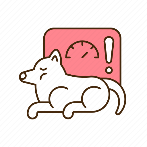 Pet, disease, fatness, overfeeding problem icon - Download on Iconfinder