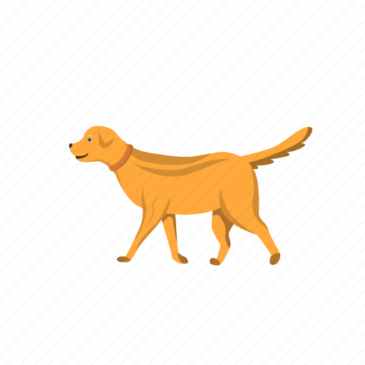 Golden retriever, dog, puppy, doggy, domestic animal icon - Download on Iconfinder