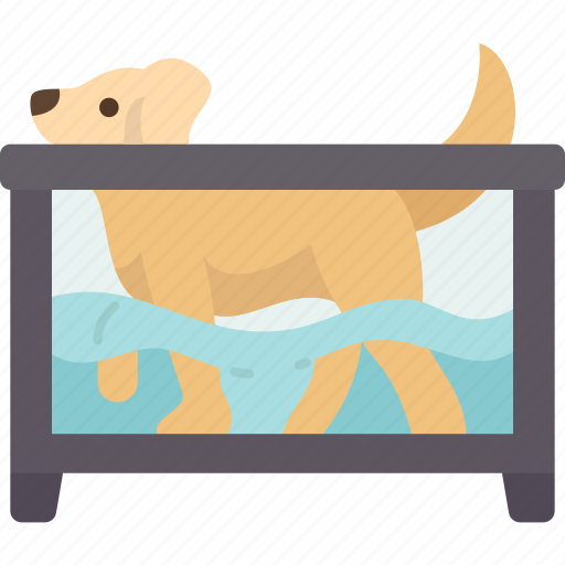Hydrotherapy, dog, muscles, rehabilitation, physiotherapy icon - Download on Iconfinder