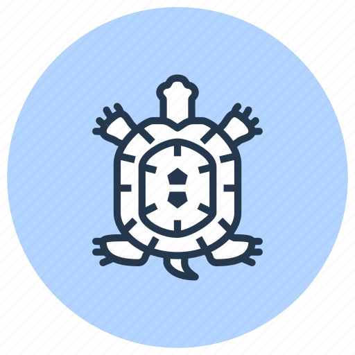Pet, reptile, shop, turtle icon - Download on Iconfinder