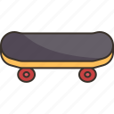 skateboard, stand, playing, pet, toy