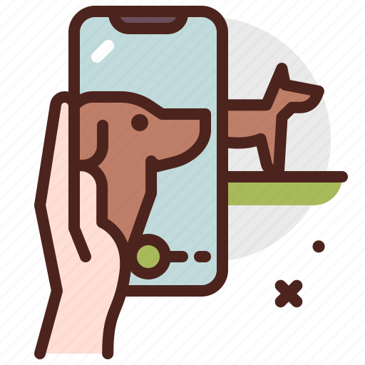 Photoshoot, pet, vacation icon - Download on Iconfinder