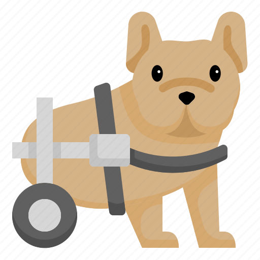 Disabled, dog, wheelchair, paralyzed, veterinary, charity, petcare icon - Download on Iconfinder