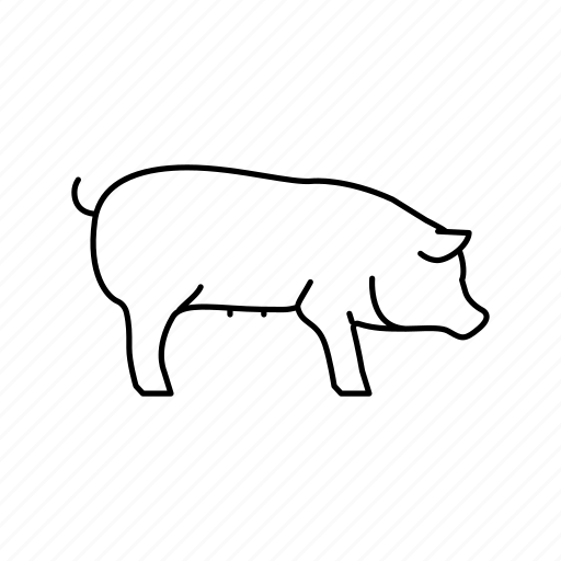 Pig, domestic, animal, pets, dog, fish, cat icon - Download on Iconfinder