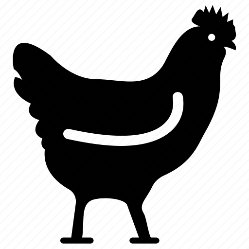 Domestic fowl, female animal, female bird, hen, pet animal icon - Download on Iconfinder