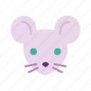 petshop, animal, cute, mouse, pet, rat, rodent