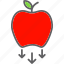 apple, education, learning, school, teach, teacher 