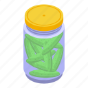 pickled, green, cucumber, isometric