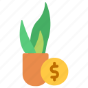 plant, pot, indoor, agriculture, gardening, farming, price, dollar