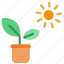 plant, pot, indoor, nature, agriculture, gardening, farming, sun, sunlight 