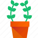plant, gardening, vase, garden, nature, green, flower 