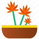 plant, gardening, vase, garden, nature, green, flower 