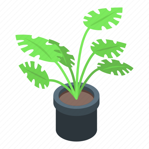 Tropical, plant, pot, isometric icon - Download on Iconfinder
