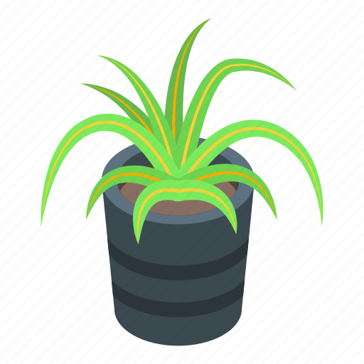 Aloe, plant, pot, isometric icon - Download on Iconfinder