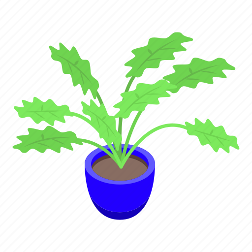 Big, leaf, plant, pot, isometric icon - Download on Iconfinder