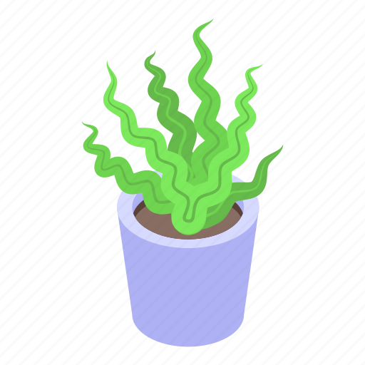 Sea, plant, pot, isometric icon - Download on Iconfinder